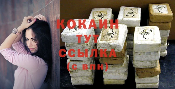 дживик Абаза